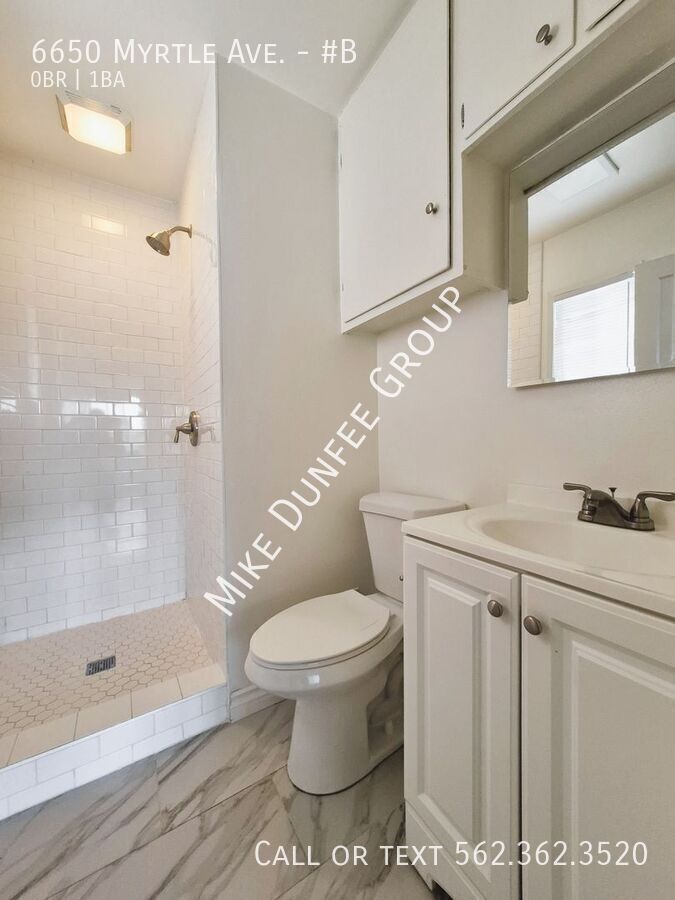 Spacious Renovated Downstairs Studio - Bright, Clean and Pet Friendly! property image